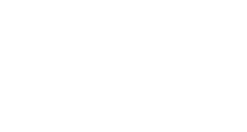 Black Horse logo